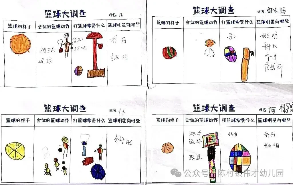 哪里能找到专业的篮球主力发展计划
